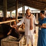 गोरखपुर में मिनी नंदिनी योजना का बढ़ा दायरा, 20 नए लाभार्थी जुड़े; संख्या 26 हुई