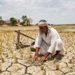 हरियाणा से मानसून की विदाई, सामान्य से 23% कम हुई बारिश; 317.5 मिमी वर्षा दर्ज