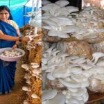 आत्मनिर्भरता की नई मिसाल- खेतों से मशरूम उत्पादन तक मिथिला दीदी ने लिखी सफलता की नई कहानी