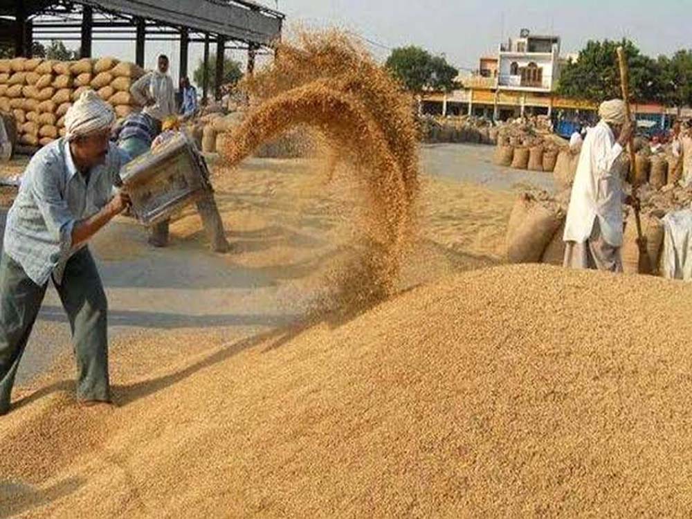 85-23.jpg