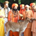 अधिकारियों को दिए निर्देश, तत्परता और संवेदनशीलता से हो जनता की समस्याओं का समाधान