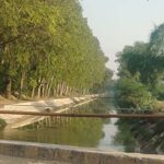 हरियाणा की 106 नहरों का होगा कायाकल्प, ₹2484.87 करोड़ होंगे खर्च
