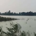 मधेपुरा में बाढ़ से 11.15 करोड़ की धान की फसल बर्बाद, 21,667 किसानों ने किया मुआवजे के लिए आवेदन
