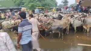 Chhattisgarh_News_05-2-16.jpg