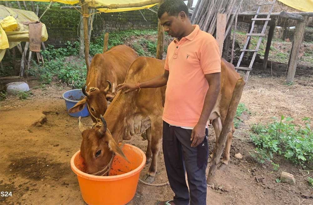 GAU_01.jpg