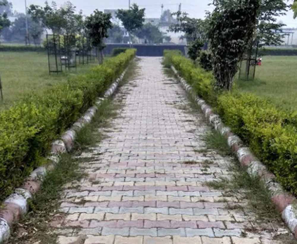 Hariyana_News_02-3-4.jpg