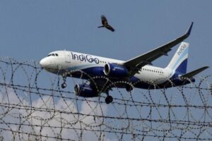 IndiGo_IndiGo_93_1.jpg