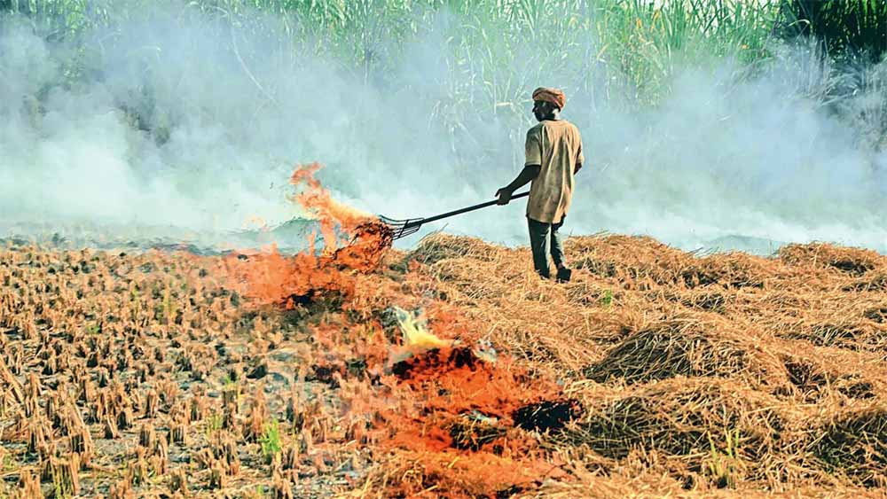 Punjab_News_07-2-12.jpg