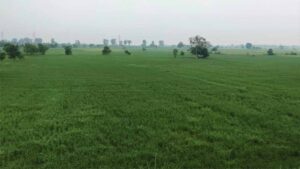 Punjab_News_09-2-5.jpg