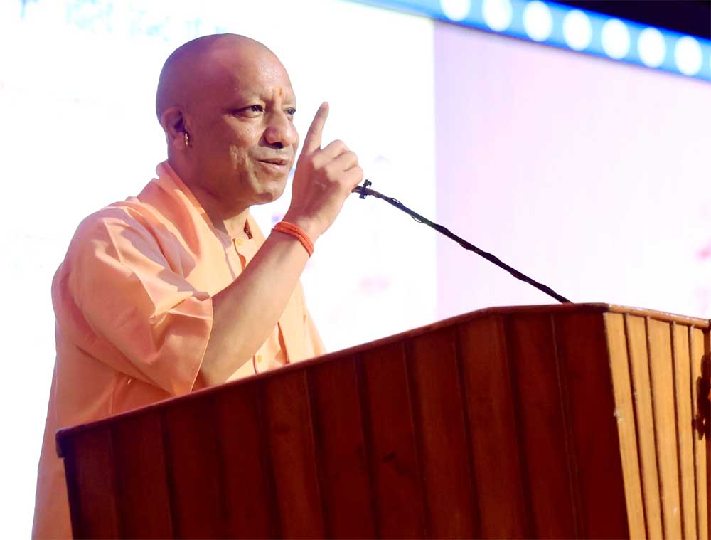 Yogi_01-24.jpg