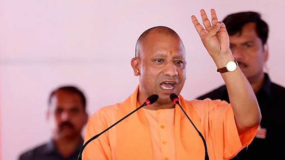 Yogi_01_jpgjjjjj.jpg