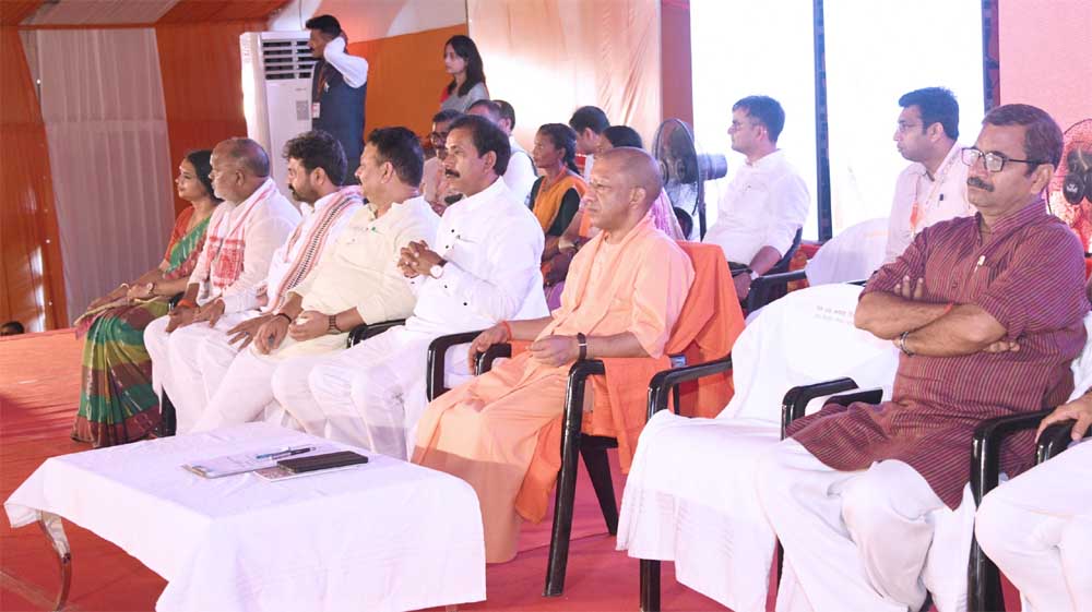 Yogi_3333.jpg