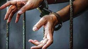 arresteda_132_2-1.jpg