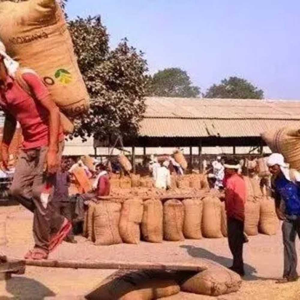 kISAN-3.jpg