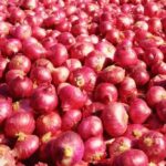 3 महीने में 82% महंगा हुआ प्याज, ₹30 से बढ़कर ₹54 किलो पहुंचा भाव