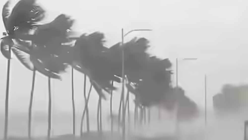 rain_2.jpg