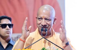 yogi-1.jpg