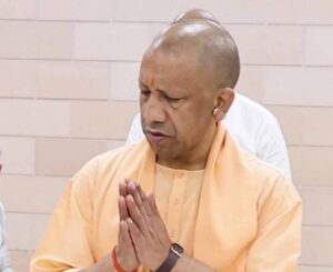 yogi_07.jpg