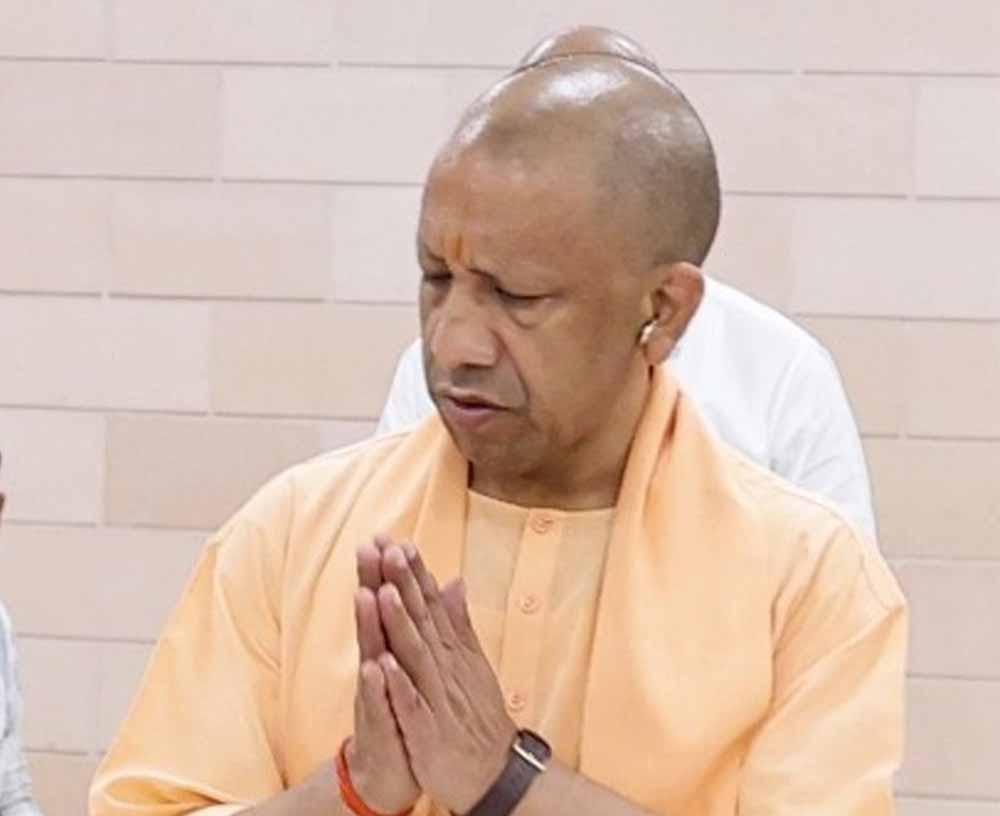 yogi_07.jpg