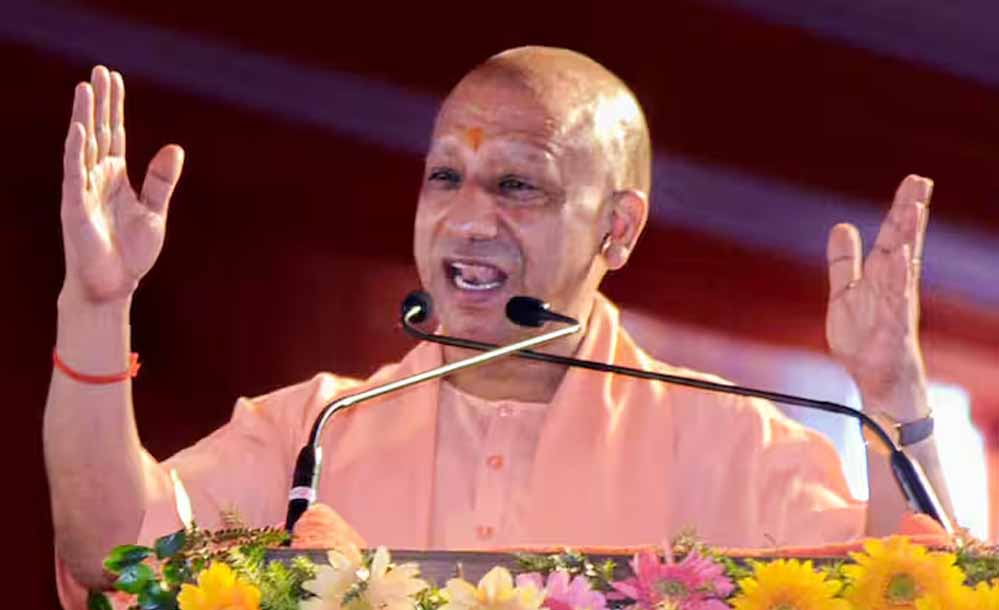 yogi_102_2.jpg