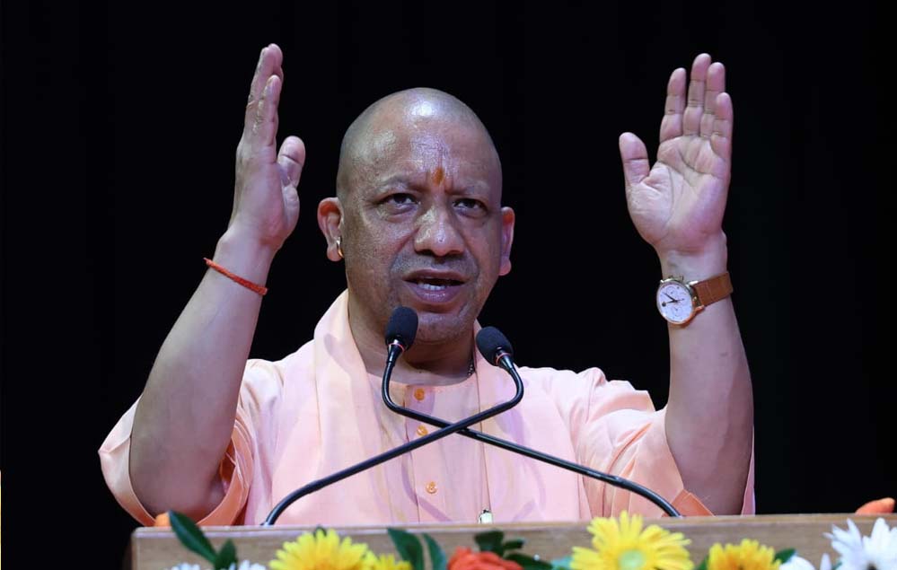 yogi_119_3-1.jpg