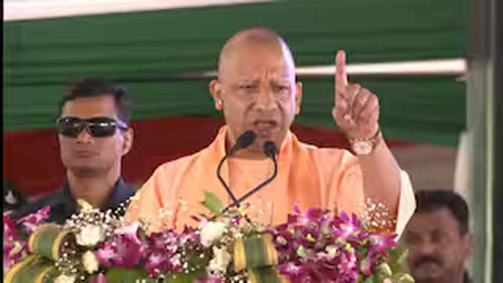 yogi_3-1.jpg
