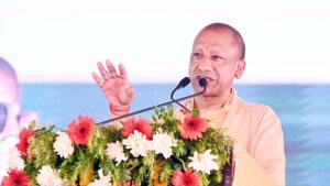 yogi_52-1.jpg