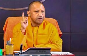 yogi_60_1-2.jpg