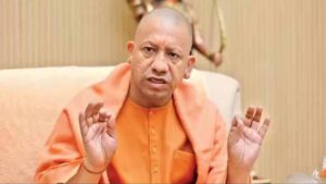 yogi_new-1.jpg