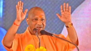 yogi_new_image-1.jpg