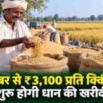 छत्तीसगढ़ के किसानों को बड़ी सौगात, 360 नए धान खरीदी केंद्र खुलेंगे; 15 नवंबर से खरीद शुरू