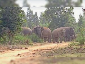 Chhattisgarh_News_05-2-18.jpg
