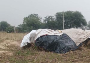 MP_News_04-1-1.jpg