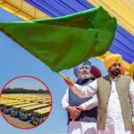 पंजाब में ग्रामीण परिवहन को मिलेगी रफ्तार, CM भगवंत मान ने सौंपी 100 मिनी बसें