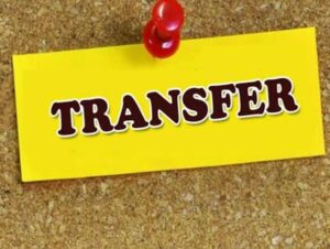 Transfer.jpg