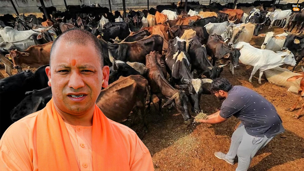gopalak.jpg