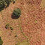 जल की हर बूंद सहेजने की मुहिम, ग्रामीणों को मिल रहा स्थानीय रोजगार