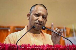 yogi-3.jpg