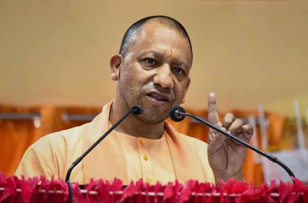 yogi-3.jpg