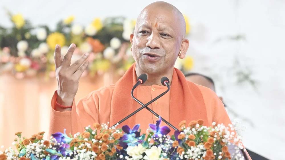 yogi1-1.jpg