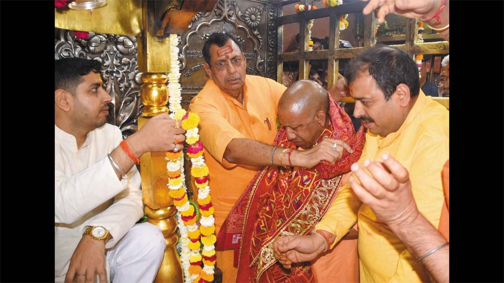 yogi1-3.jpg
