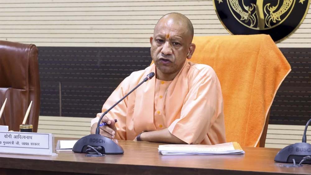 yogi1-5.jpg