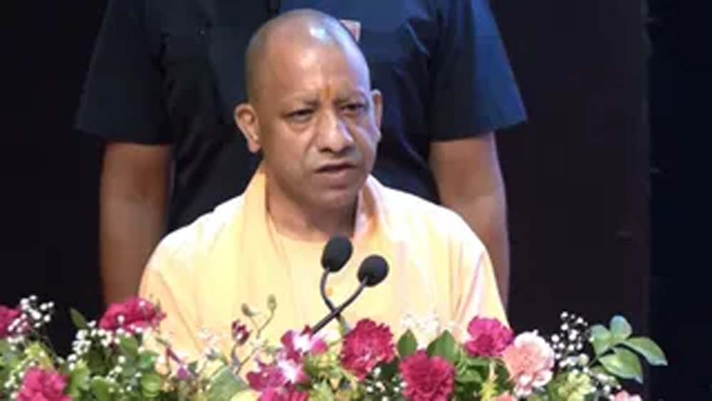 yogi1-7.jpg