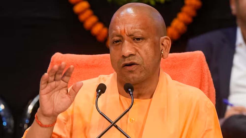 yogi1-9.jpg