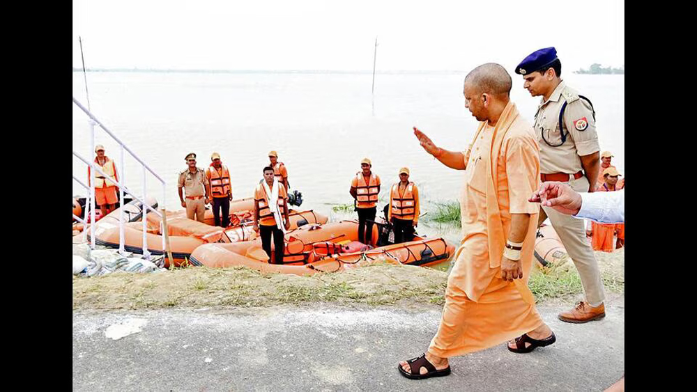 yogi4-1.jpg
