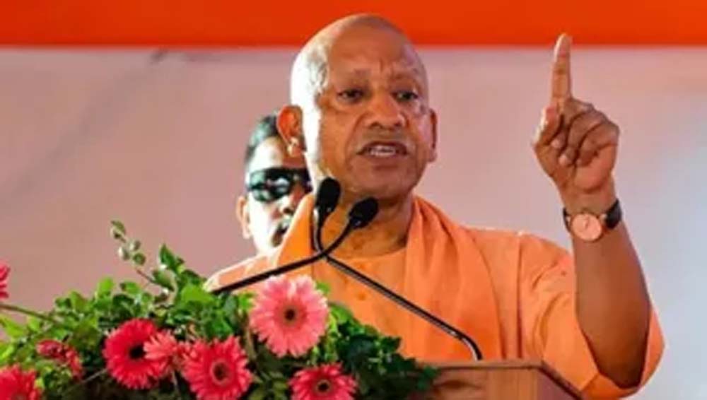 yogi4-5.jpg