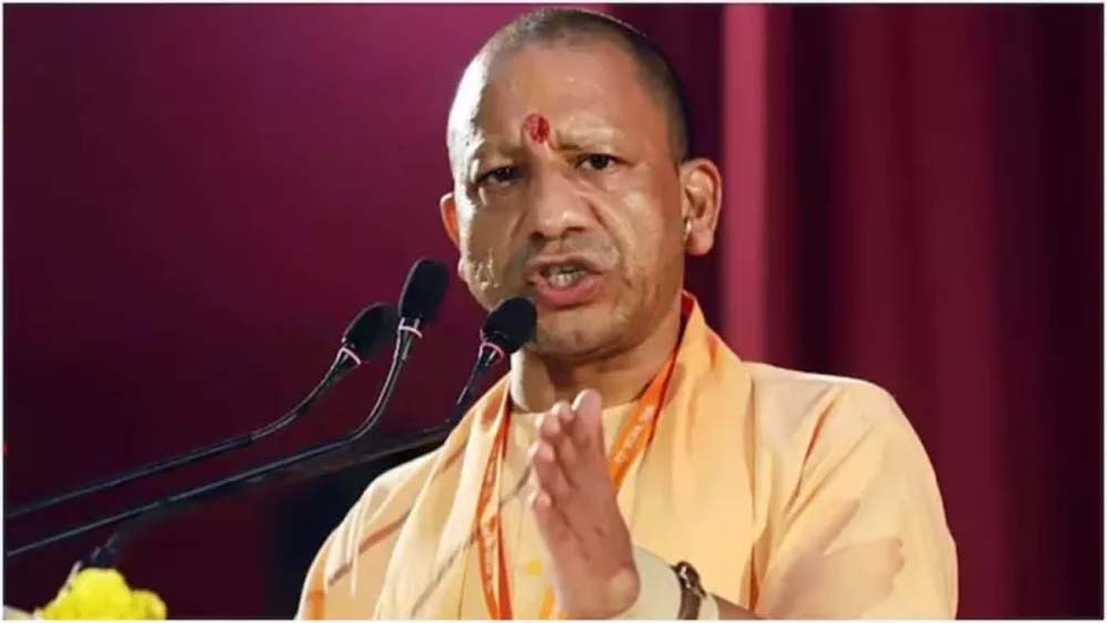 yogi4.jpg