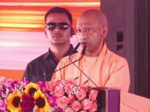 yogi7.jpg